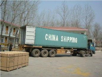 廣州至意大利國際貨運代理 專業(yè)散貨門對門服務與物流解決方案